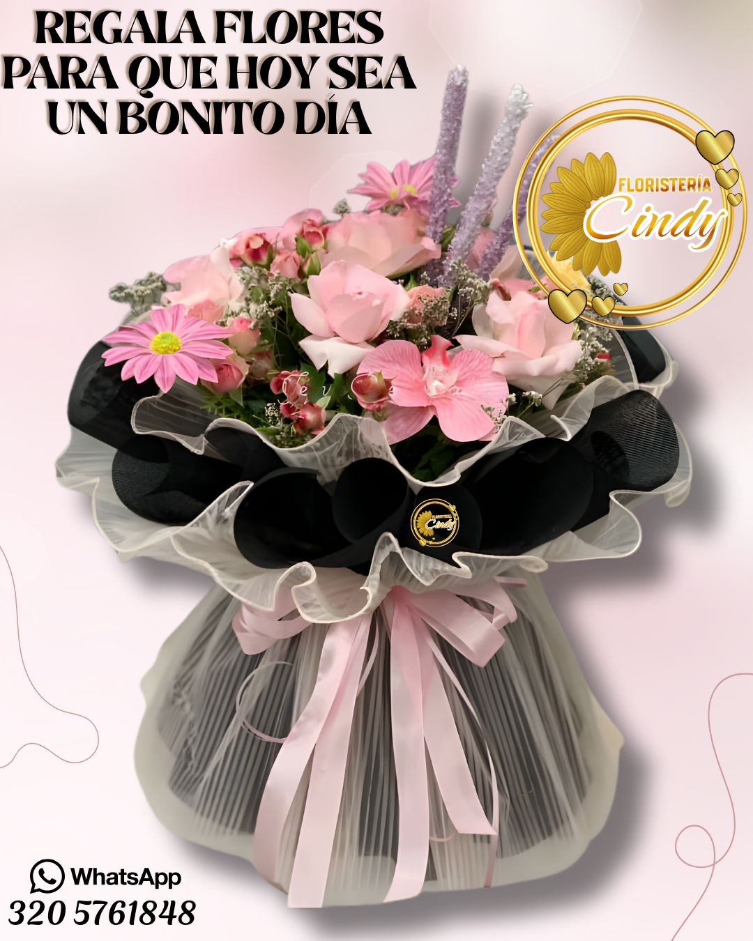 Copia de Copia de cindy_20260115_082724_0000