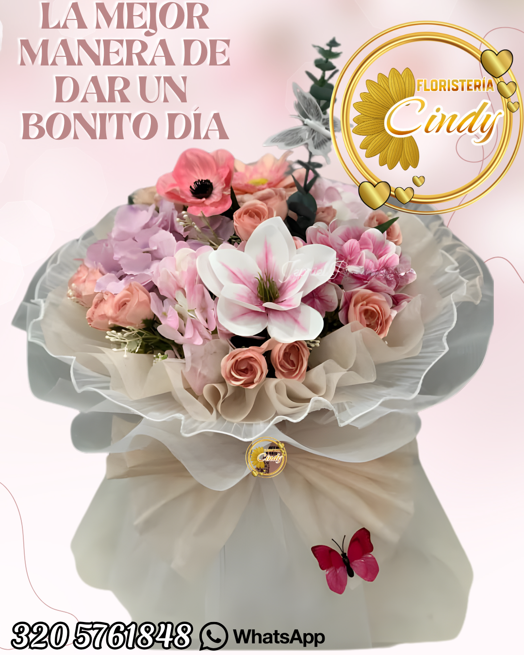 Copia de Copia de cindy_20260128_120000_0000