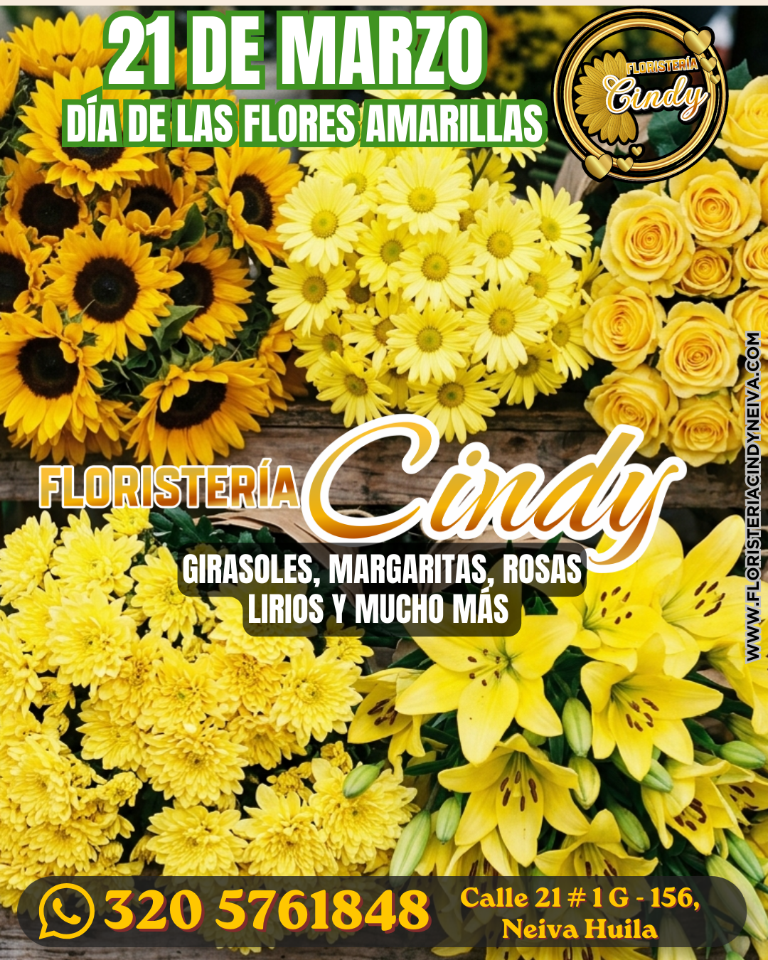 Copia de Copia de cindy_20260313_143824_0000